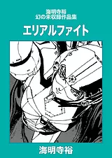 エリアルファイト