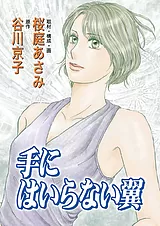 手にはいらない翼