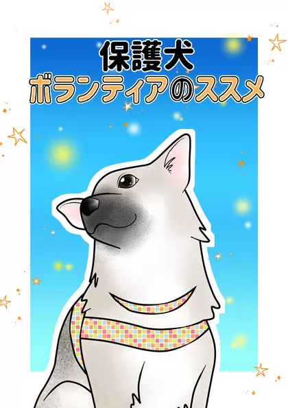 保護犬ボランティアのススメ