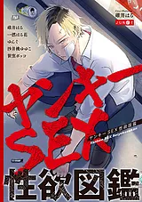 ヤンキーSEX性欲図鑑