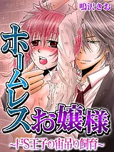 ホームレスお嬢様～ドＳ王子の宙吊り…