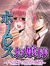 ホームレスお嬢様～ドＳ王子の宙吊り…