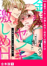 金髪ヤンキーの激しめH～初めては俺で…