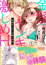 金髪ヤンキーの激しめH～初めては俺で…