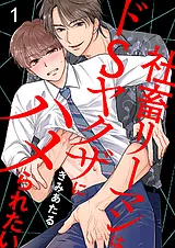 社畜リーマンはドSヤクザにハメられた…