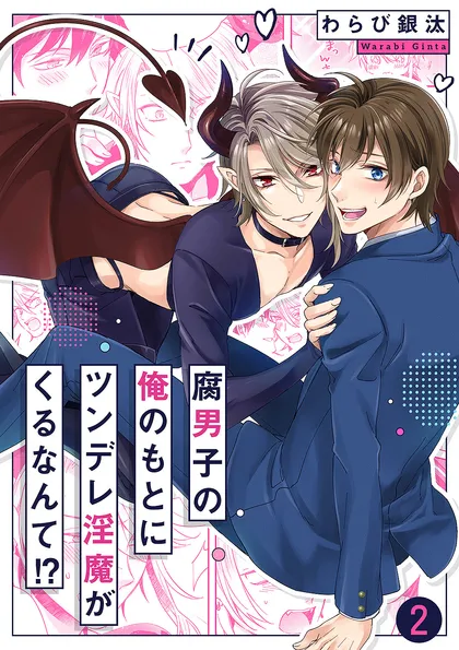 腐男子の俺のもとにツンデレ淫魔がくるなんて!? ２