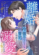 離婚したはずなのに、冷徹エリート御…