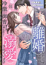 離婚したはずなのに、冷徹エリート御…