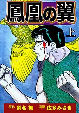 鳳凰の翼