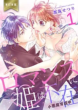 ロマンスに姫は不在～小悪魔育成中～…