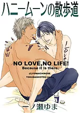 ハニームーンの散歩道