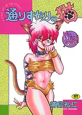 通りすがりの猫
