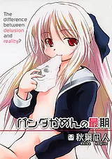 パンダかめんの最期